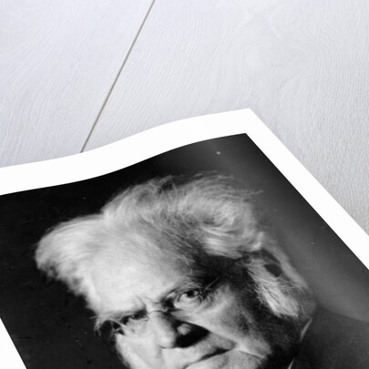 Portrait of Norwegian writer Bjoernstjerne Bjoernson by German Photographer