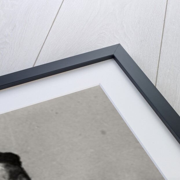 Portrait of Charles Augustin Sainte-Beuve 1856 by Francois Joseph Heim