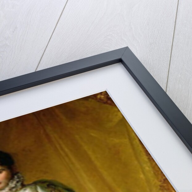 Portrait of Jerome Bonaparte King of Westphalia, 1811 by Francois Pascal Simon Baron Gerard