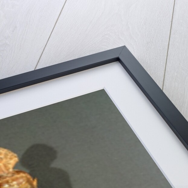 A Dakini, late 18th-early 19th century by School Tibetan