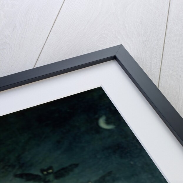 The Witches' Sabbath by Francisco Jose de Goya y Lucientes