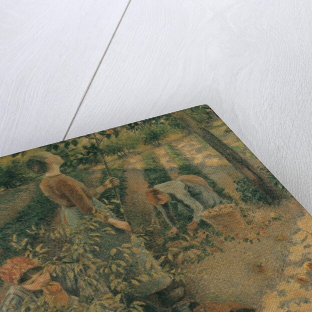 The Apple Pickers, 1886 by Camille Pissarro