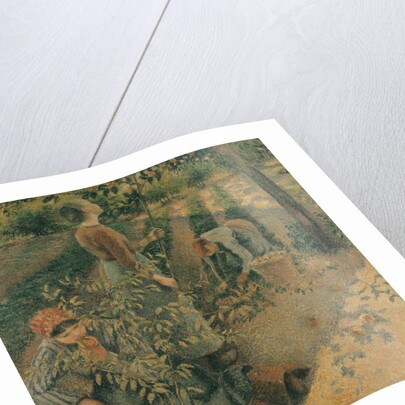 The Apple Pickers, 1886 by Camille Pissarro