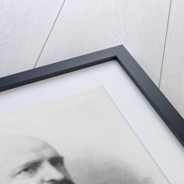 Pedro Antonio de Alarcon, 1881 by B. Maura