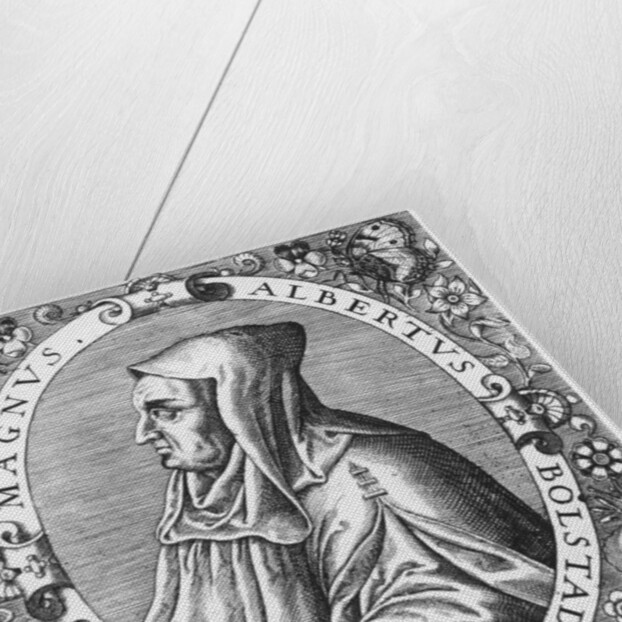 Albertus Magnus by Theodor de Bry
