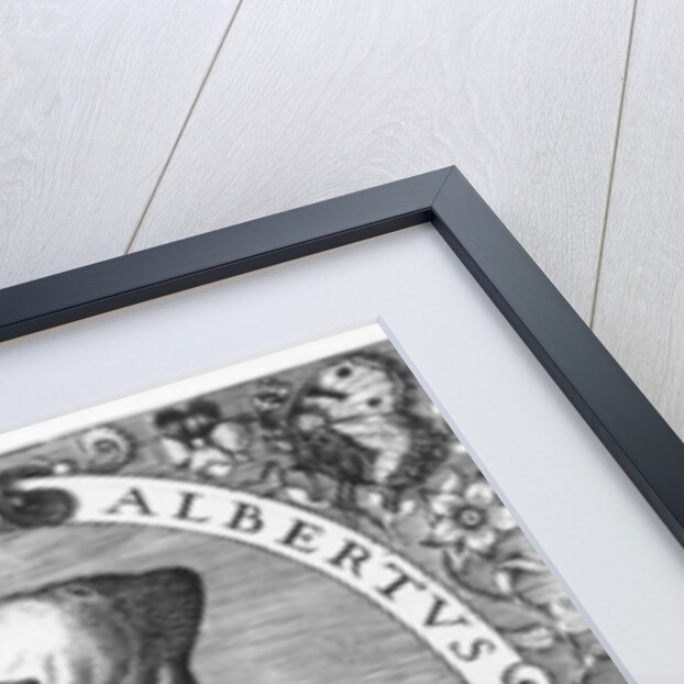 Albertus Magnus by Theodor de Bry