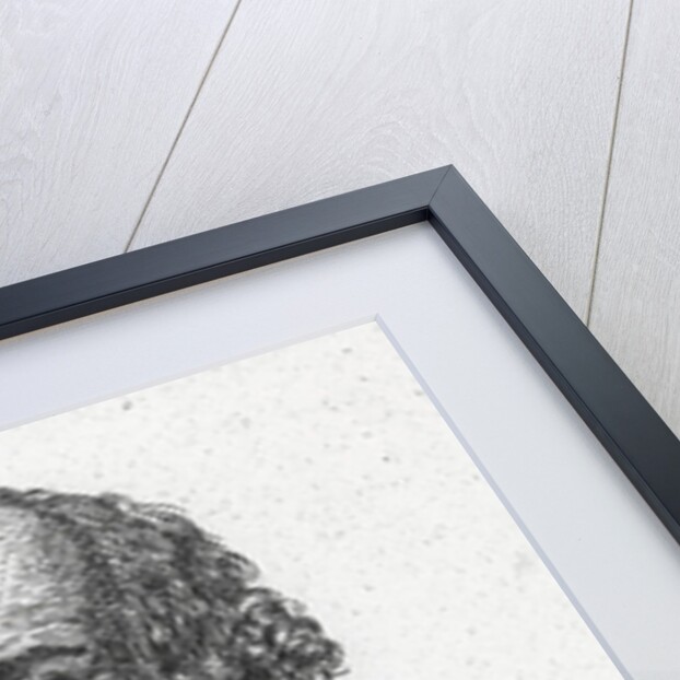 Athanase Auger by French School