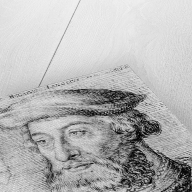 Guillaume du Bellay by French School