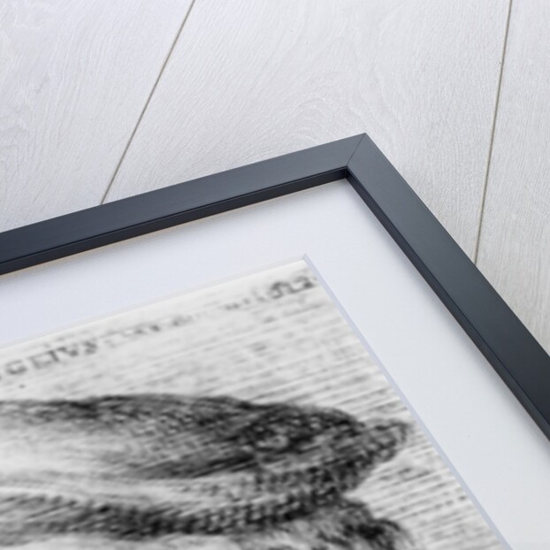 Guillaume du Bellay by French School