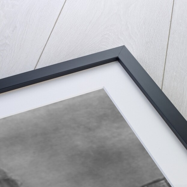 Bernardin de Saint-Pierre by Jean Francois Ribault