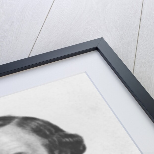 Ernest Bersot, 1866 by A. Fontaine