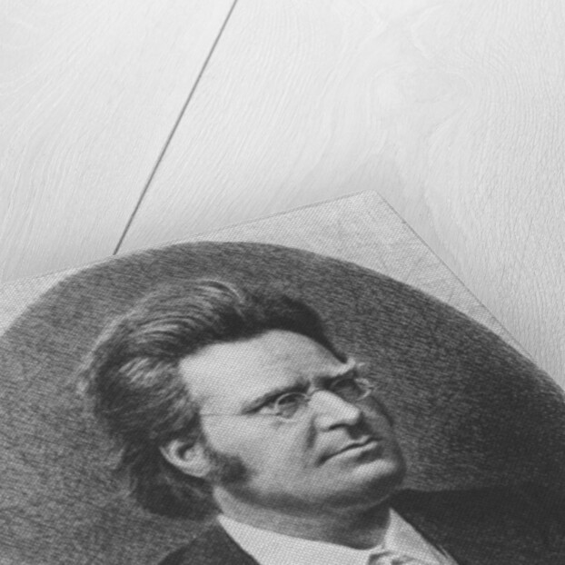 Bjornstjerne Bjornson by French School