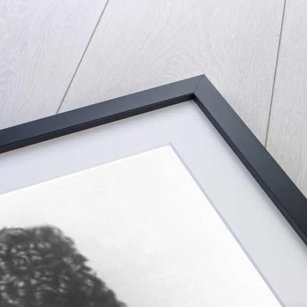 Taras Shevchenko by School Ukranian