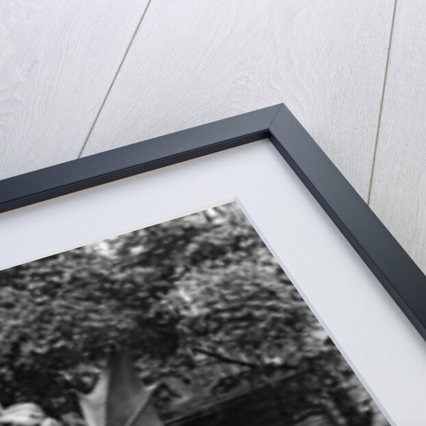 Chimaera from the St. Michel fountain, Paris, c.1860 by Adolphe Giraudon