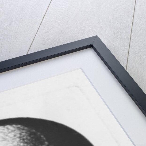 Antoine Raymond Joseph de Bruni d'Entrecasteaux by Edme Quenedey