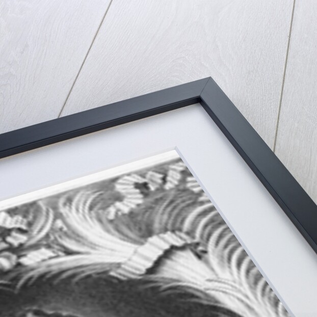 Godefroi, Comte d'Estrades by French School