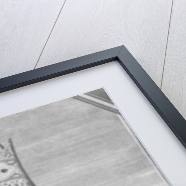 Fath-Ali Shah Qajar by Louis Charles Ruotte