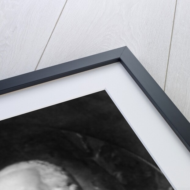 Ferdinand I of Bourbon, King of the Two Sicilies by Johann Peter Pichler