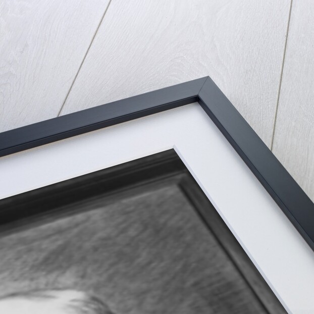 Jules Ferry by Fernand Desmoulin