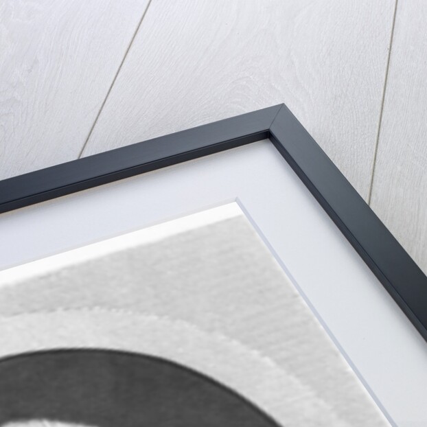 Charles Pierre Colardeau by French School