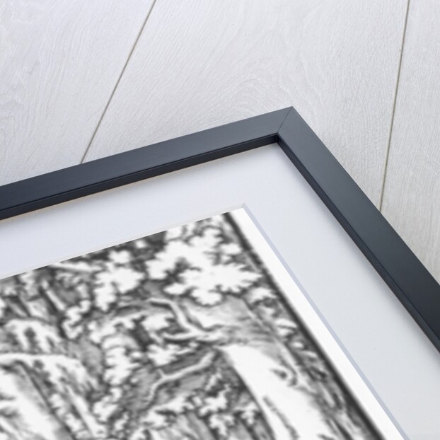 Page from 'Discours du Songe de Poliphile', by Francesco Colonna, 1546 by French School