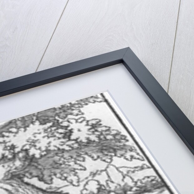 Page from 'Discours du Songe de Poliphile', by Francesco Colonna, 1546 by French School