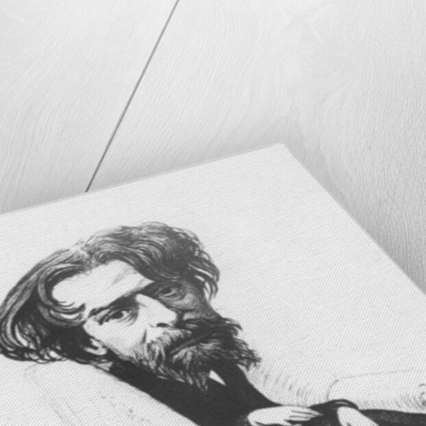 Alphonse Daudet, 1892 by French School