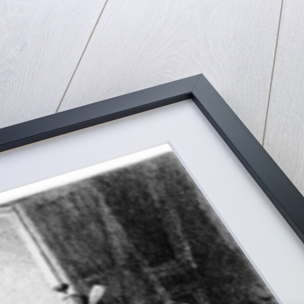 Illustration from 'The Siege of Berlin', short story from 'Contes du Lundi', by Alphonse Daudet by Albert Pierre Dawant