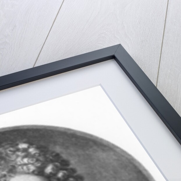 Daniel Defoe, engraved by C. A. Powell by Michael van der (after) Gucht