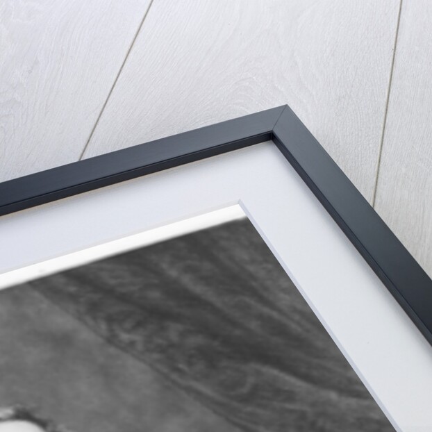 Edward Stanley, Earl of Derby by Daniel John. Pound