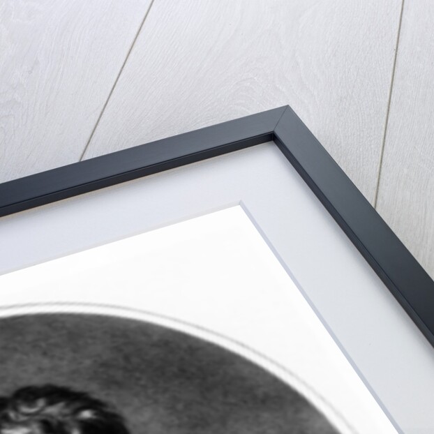 Louis Charles Desaix by French School