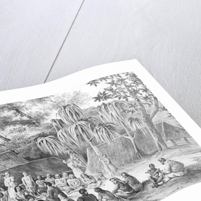 The chiefs of Tikopia received the officers of the Astrolabe by French School