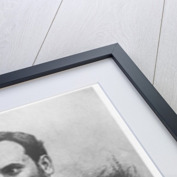 Arsène Darmesteter by Charles Albert Waltner