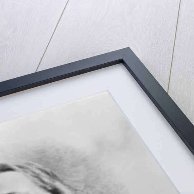 Ferdinand Freiligrath by German School