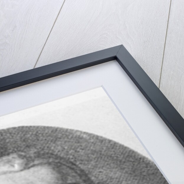 Portrait of Carlo Gozzi by Francesco Bartolozzi