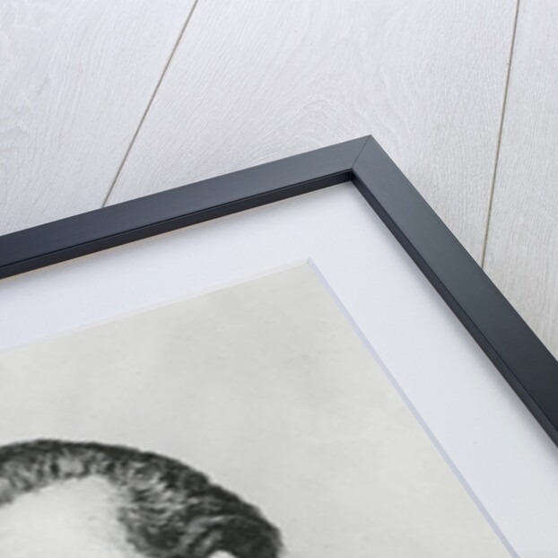 Karl Hartmann by German School