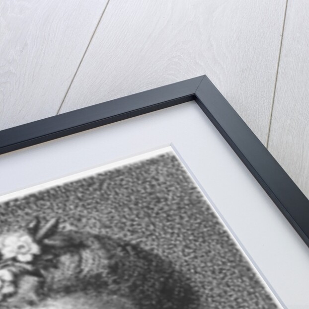 Comtesse d'Houdetot by French School