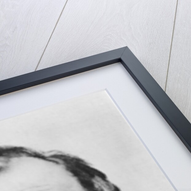 Portrait of Gottfried Keller by Karl Stauffer-Bern