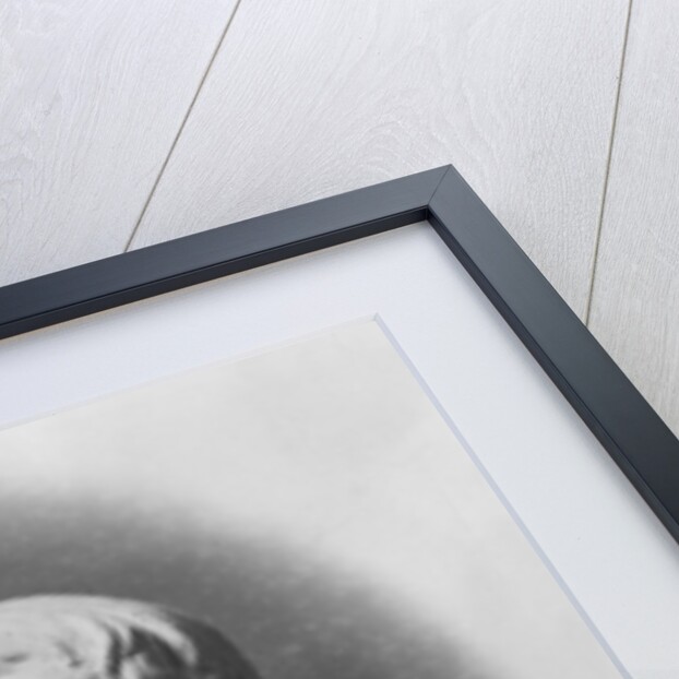 Bust of Giacomo Leopardi, 1895 by Giulio Monteverde