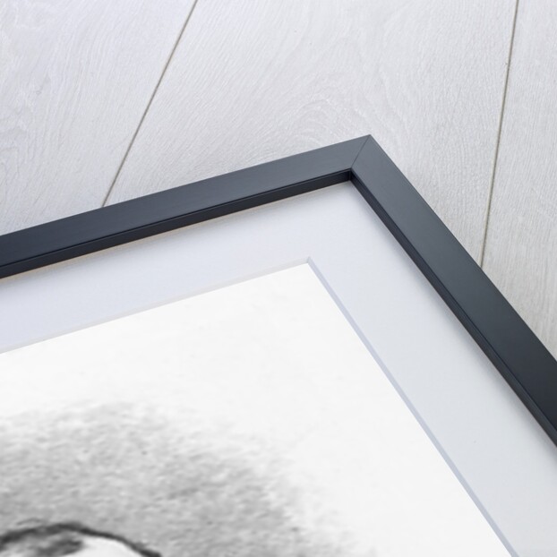 Rudolf Hermann Lotze by German School