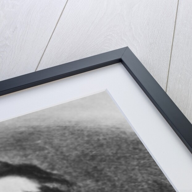 Alphonse de Lamartine, 1830 by French School