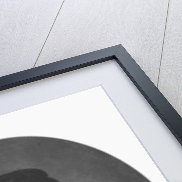 Suzanne Caubel, Madame Pierre Larousse by French School