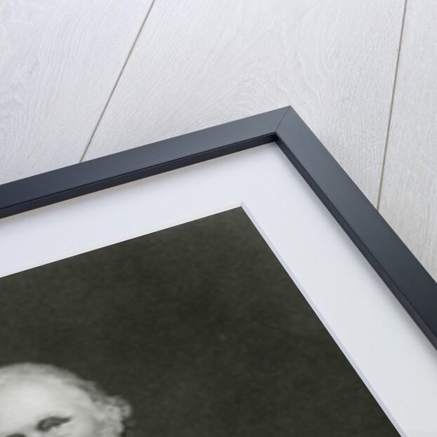 Thomas Babington Macaulay, 1st Baron Macaulay by English School