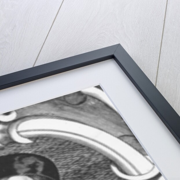 Jean Papire Masson by Nicolas II de Larmessin