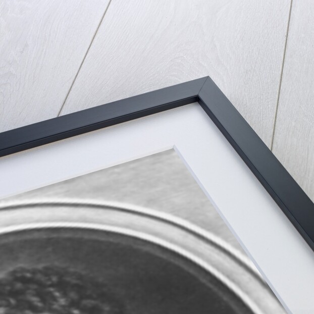 Portrait of Paul Pellisson by Gerard Edelinck