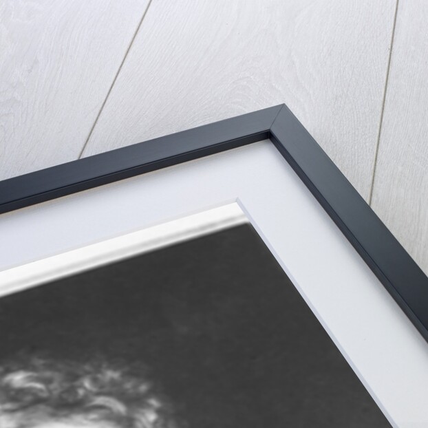 Friedrich Wilhelm Joseph Schelling by French School