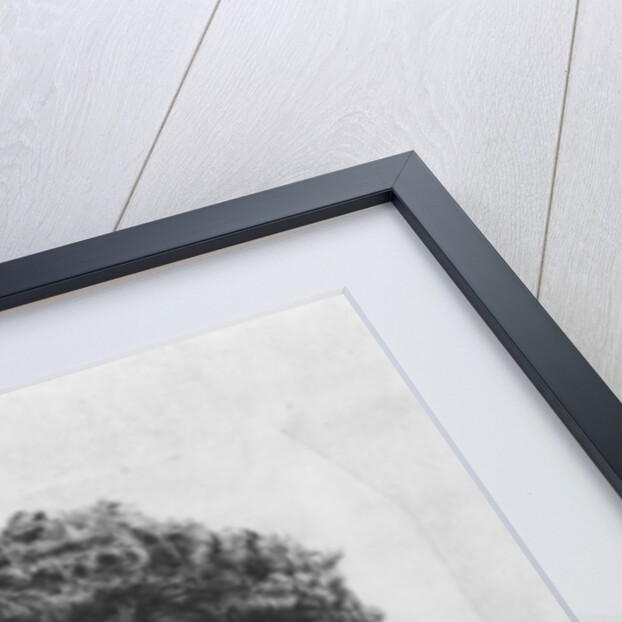 Octave Uzanne by French School