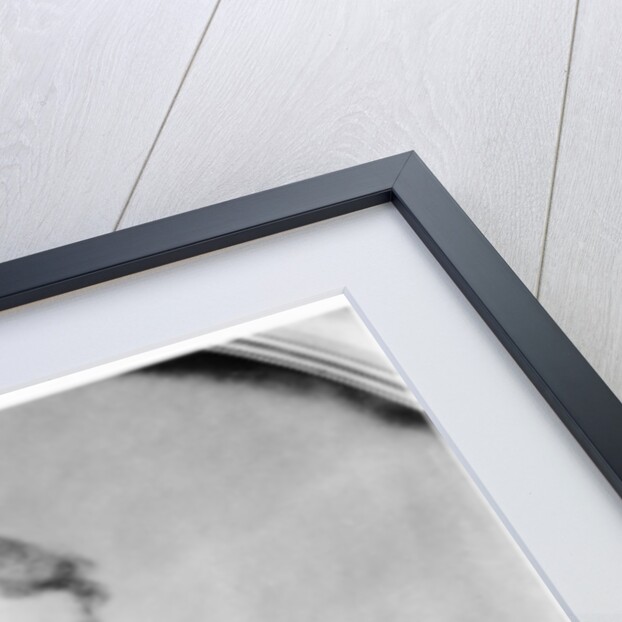 Alexandre Vinet by Amelie Munier-Romilly