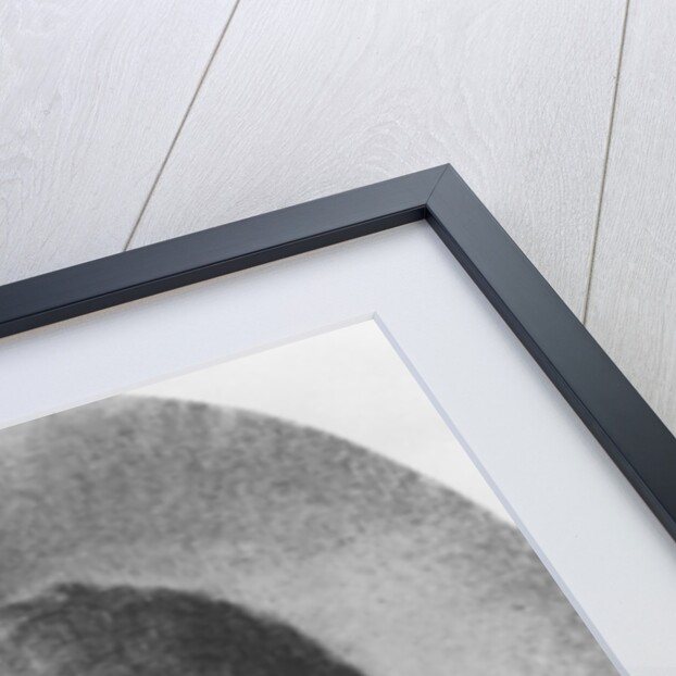 Portrait of Charles Augustin Sainte-Beuve, aged 9 by E. de Bonnieres