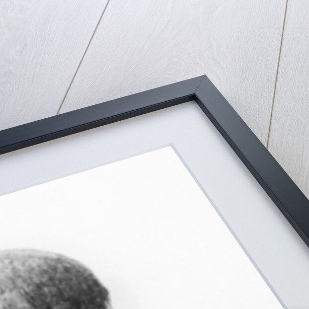 Portrait of Charles Augustin Saint-Beuve by French School